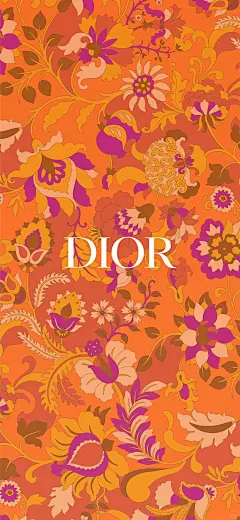 Lv和Dior 高清原图壁纸更新～_15_多啦Yuki_来自小红书网页版