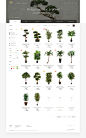 Treez Collection : Concept Treez Collection