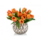 Mandarin - Botanicals - New Introductions - Our Products