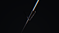4280678673.png