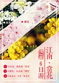江南赏花游,江南,婺源,油菜花,樱花,琼花,赏花,旅游,旅游海报,海报,西湖,玄武湖,兴化,psd,白色,精品海报,精品模板,模板素材,网,模板网站,模板下载编号2387606@北坤人素材