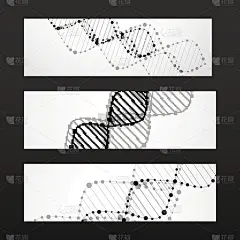 横幅与DNA