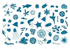 绘画插图,海洋生命,小的,显微镜,浮游生物,矢量,磷虾,鱼类,海洋