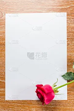 玫瑰,空白的,红色,纸,垂直画幅,贺卡,留白,消息,符号,在上面