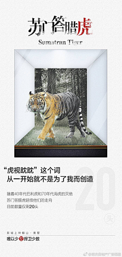 Yovnne_Kang采集到Poster  戏剧