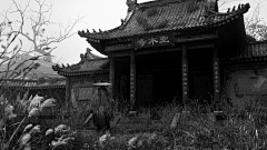 Mad_Bear采集到【艺术家】guodong