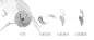 提取.png