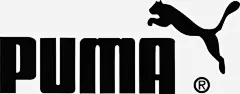 PUMA飞虎服装海报图片