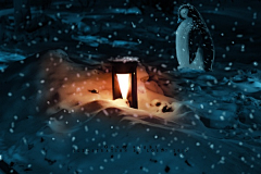 秋醉夜微凉采集到你好，黑夜