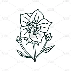 花叶子插图设计模板矢量