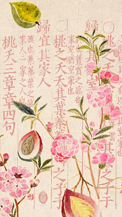 多多多妹采集到中式边框,纹样