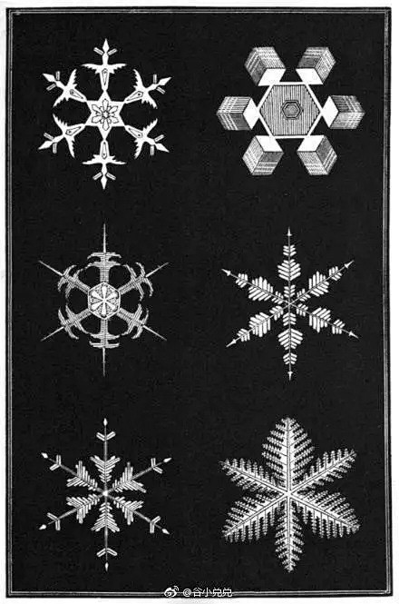 手绘 | 几十种雪花的画法/素材 : 圣...