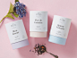 Elegant Tea Brand The Seventh Duchess Gets a Subtle Makeover — The Dieline | Packaging & Branding Design & Innovation News