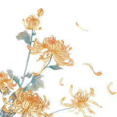 摄图网_400195049_花卉（非企业商用）