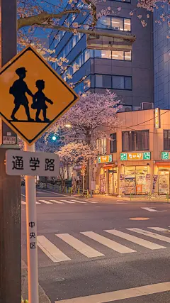�� ✨ ��   在可爱的电车沿线，除了春天禁止入内  ©️ ：kelvin李 樱花季 Ⅰ 摄影 Ⅰ 背景图 Ⅰ 手机壁纸 ​​_006cSilvgy1gp2cp0o3bfj3167230u0x