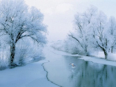 微奇生活采集到雪景