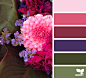 { flora palette }