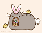 Pusheen the cat : =＾● ⋏ ●＾= Meow! I am Pusheen the cat. This is my blog. (more...)