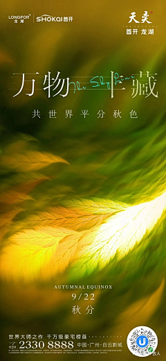 堂少游采集到节气