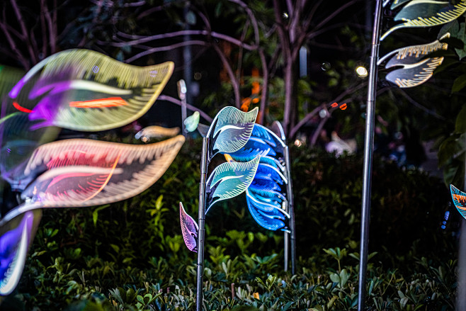 案例展示 | 夜空彩虹