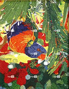 彩虹鹦鹉 自然 伞树 澳大利亚人 鸟 鹦鹉 热带 艺术 绘画