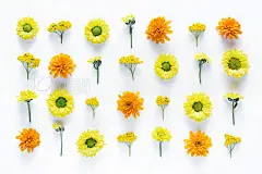 Pattern With Colorful Flowers