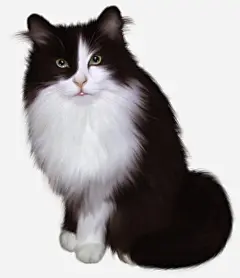手绘猫咪高清素材 可爱 手绘 猫咪 绘画 花猫 萌宠 免抠png 设计图片 免费下载
