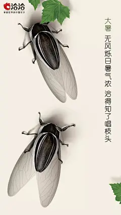 洽洽的二十四节气海报欣赏 ​​​​ ​​​​ ​​​​#logo设计集# ​​​​