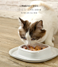 猫乐适猫碗双碗六碗卷边防溅防漏猫食盆猫水碗宠物碗猫咪用品-tmall.com天猫