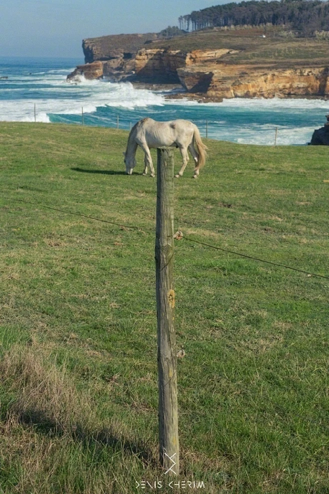 摄影师眼里的“巧合”。 ​​​​如此巧合，实属可遇不可求 ​​​​