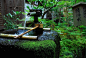 日本三千院的夏日。日系庭院深受禅宗和中国园林“师法自然”的影响，庭院中的植物山石、沙砾，都代表不同的意义，除给游人带来视觉上的愉悦，也在精神上得到了休息。