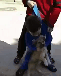 一介神明采集到搞笑GIF