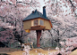 Terunobu Fujimori’s stunning Tetsu Teahouse is ... | Yo!~Playhouses/S…