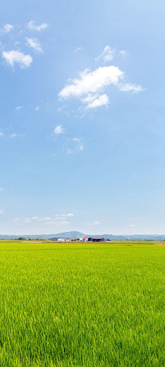 geling&采集到风景