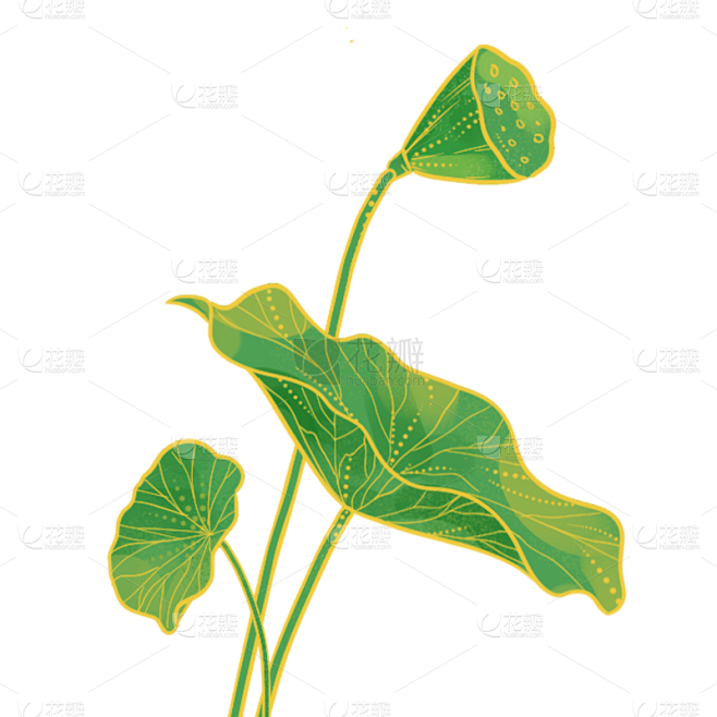 中国风-国潮植物元素贴纸-荷叶