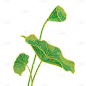 中国风-国潮植物元素贴纸-荷叶