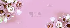 横幅为一个长设计与粉红色和白色的花在粉红色的背景
