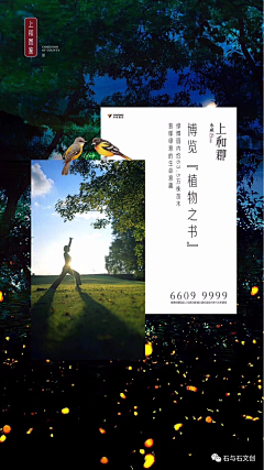 Lucky婷采集到背景素材