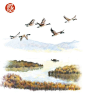 飞乐鸟の手绘世界