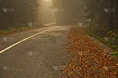 山,雾,秋天,山路,有包装的,水平画幅,枝繁叶茂,无人,户外,怪异