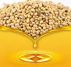 大豆油的 搜索结果_360图片