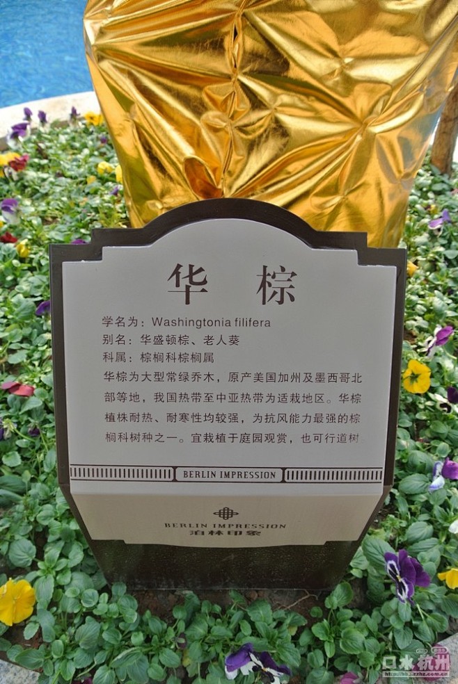 泊林印象收房记。略有微暇，但仍然九堡主流...