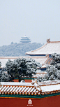 白雪与红墙，故宫在雪中别有一番韵味~  \图:故宫博物院

#爬山俯瞰故宫雪景# #北京下雪# ​​​​
