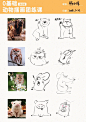 0基础学画画｜用几何造型法画可爱小动物～