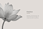 Floralium : Floralium is a personal project. This identity aims to give a new logo to a company specialized in gardening.As you can see the new identity takes inspiration not only from flowers, but also tries to picture the idea of seeds, that are the bas