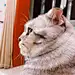 李讷讷
