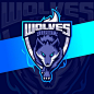 This may contain: the wolf mascot logo on a blue and purple background