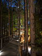 花园里的森林 Whiting Forest of Dow Gardens / Metcalfe Architecture & Design – mooool木藕设计网