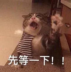 一组超可爱猫咪表情包合集  #表情包# #今日最佳# #搞笑图片# ​
