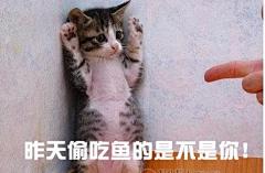 婆婆，奥斯卡欠你一个小金人_订阅_腾讯网